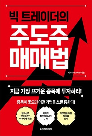 빅트레이더의 주도주 매매법 책 표지